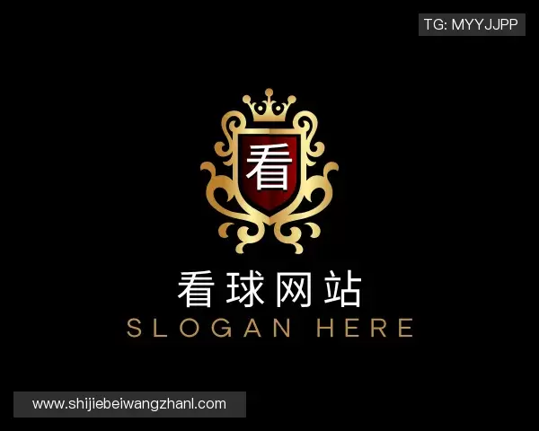 认识看球网站